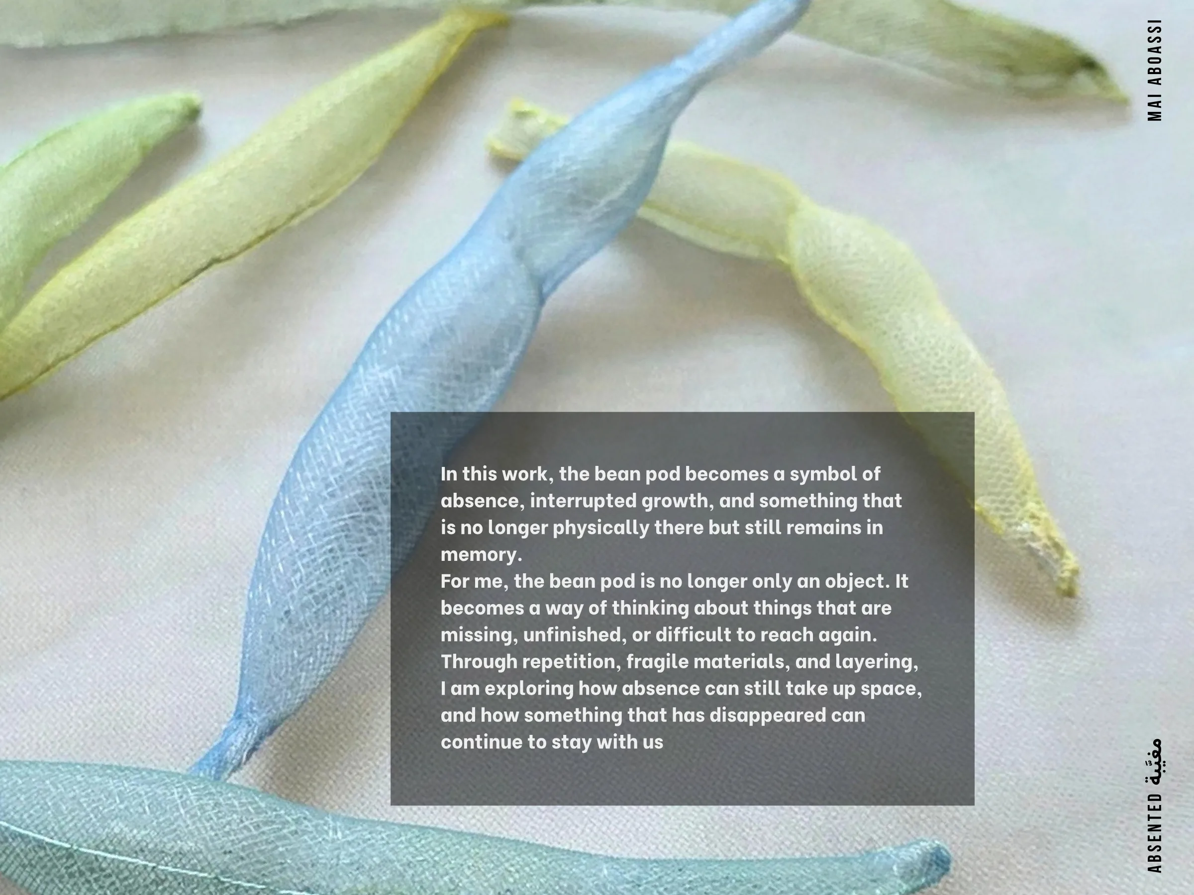 Page 16: Mai Aboassi — Artist Statement, full size
