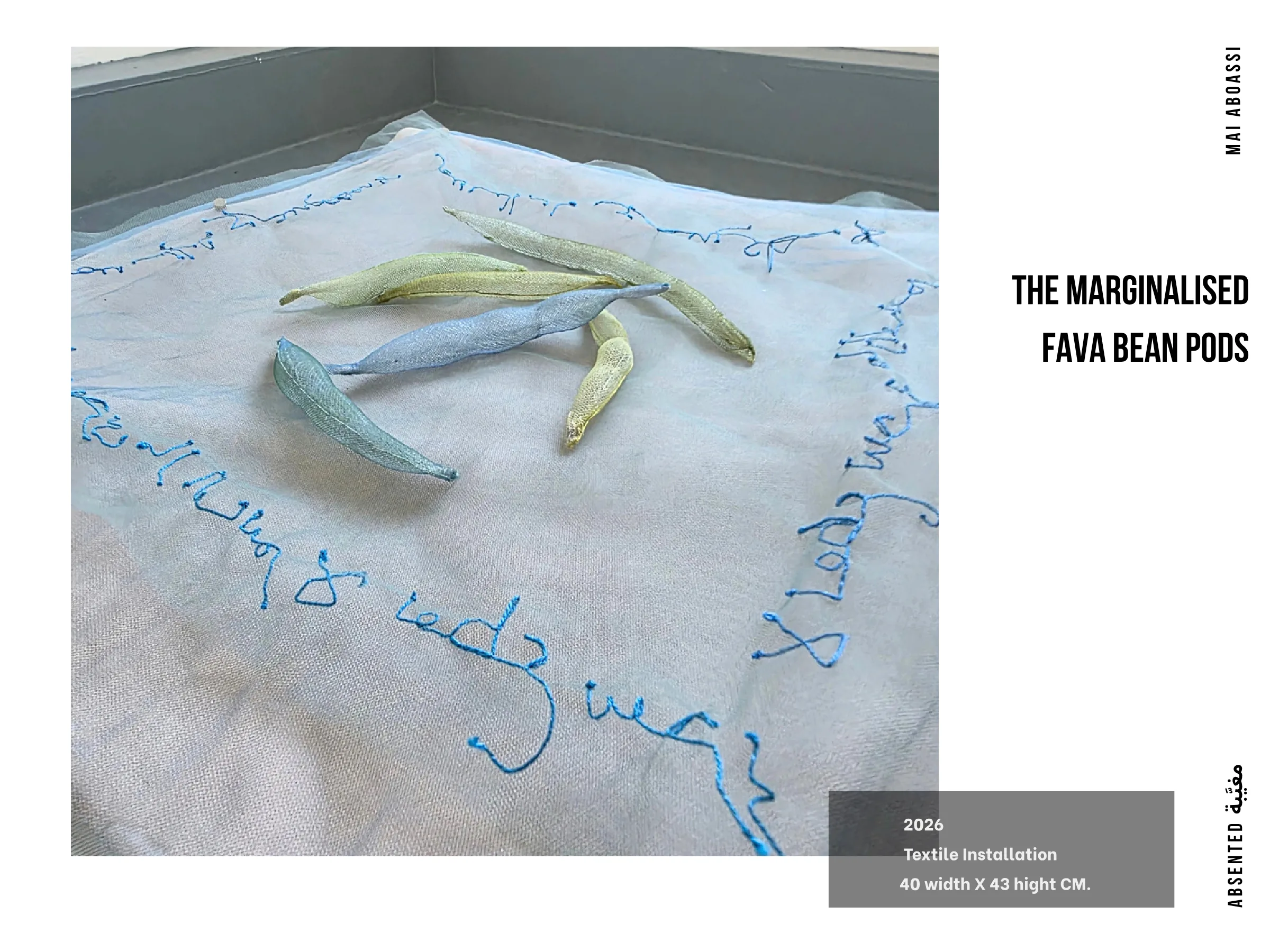 Page 17: The Marginalised Fava Bean Pods, full size