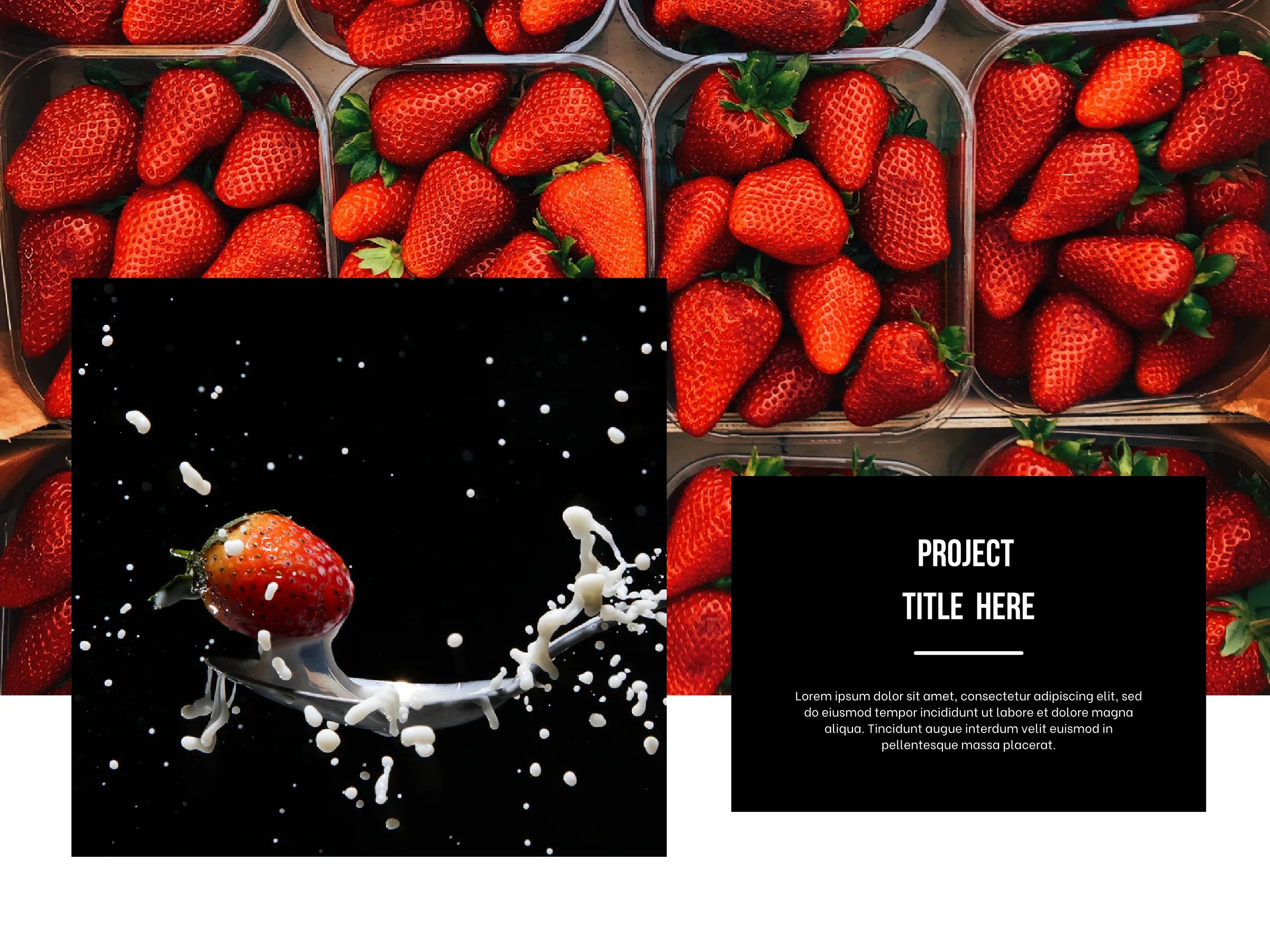 Page 29: Project, full size